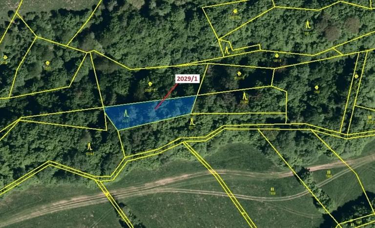 Dražba lesa, Hovězí, 680 m2