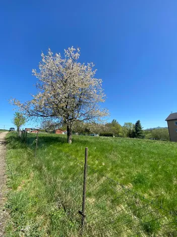 Prodej pozemku pro bydlení, Hamr na Jezeře, 3156 m2