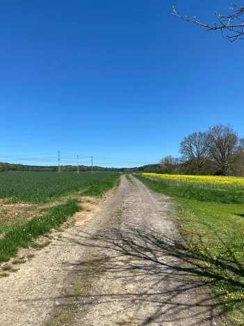 Prodej pozemku pro bydlení, Hamr na Jezeře, 1247 m2