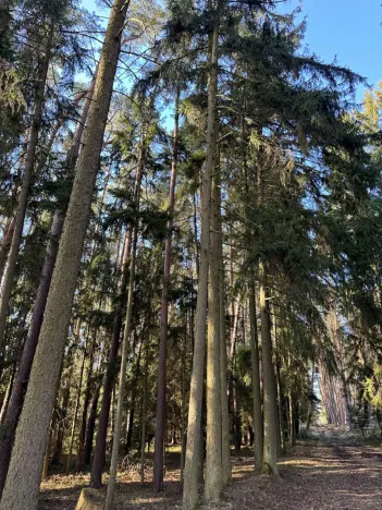 Prodej pozemku, Slabčice, 9236 m2