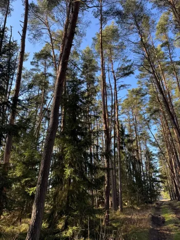 Prodej pozemku, Slabčice, 9236 m2