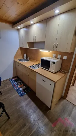 Pronájem bytu 1+kk, Praha - Žižkov, Jagellonská, 35 m2
