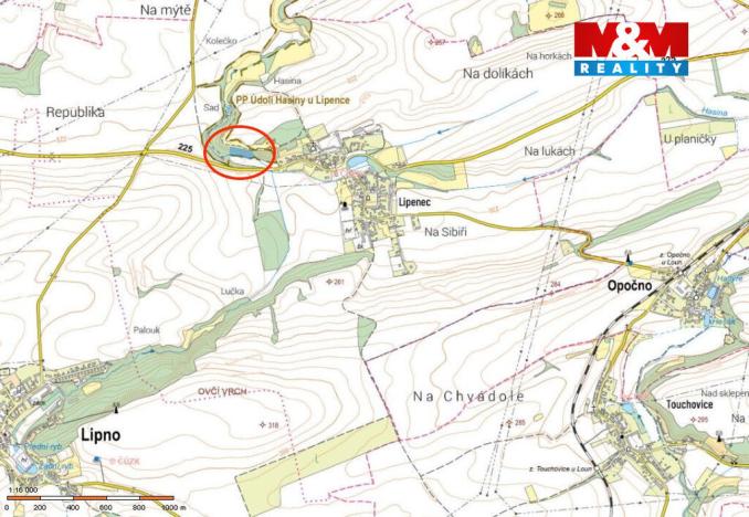 Prodej lesa, Lipno - Lipenec, 6203 m2