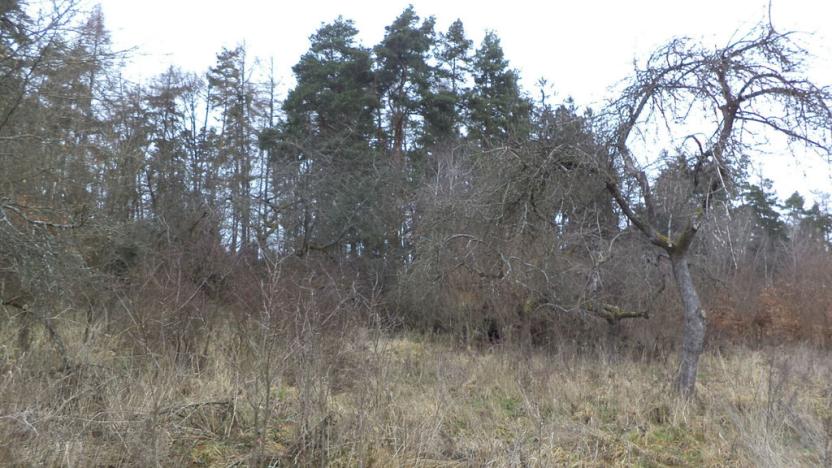 Prodej pozemku, Srby, 1445 m2