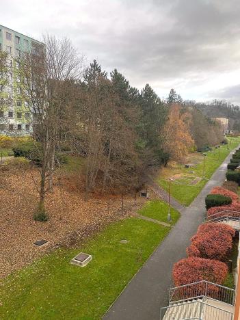 Prodej bytu 3+1, Ústí nad Labem - Krásné Březno, Anežky České, 72 m2