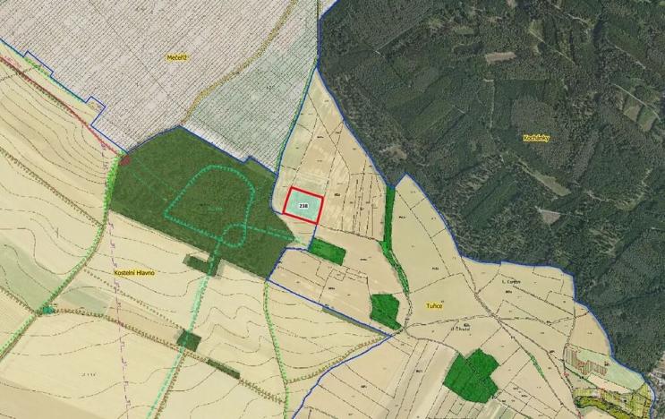 Prodej pole, Tuřice, 13416 m2