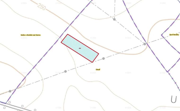 Prodej pole, Benátky nad Jizerou, 5321 m2