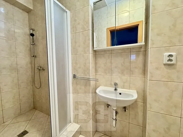 Pronájem rodinného domu, Česká, 200 m2