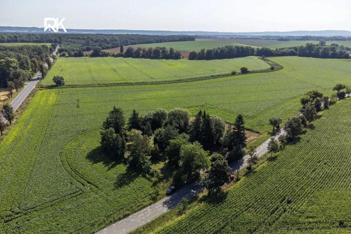 Prodej zahrady, Nové Dvory, 2555 m2