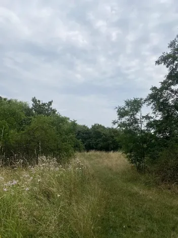 Dražba pozemku, Praha - Michle, 8863 m2