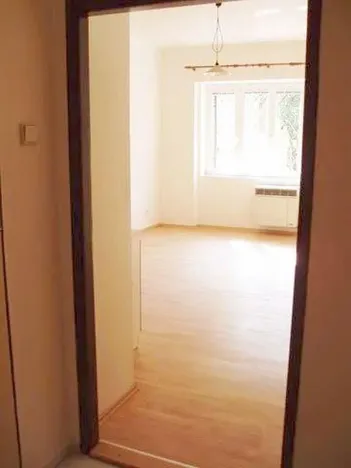 Pronájem bytu 1+kk, Praha - Nusle, Bohuslava ze Švamberka, 28 m2