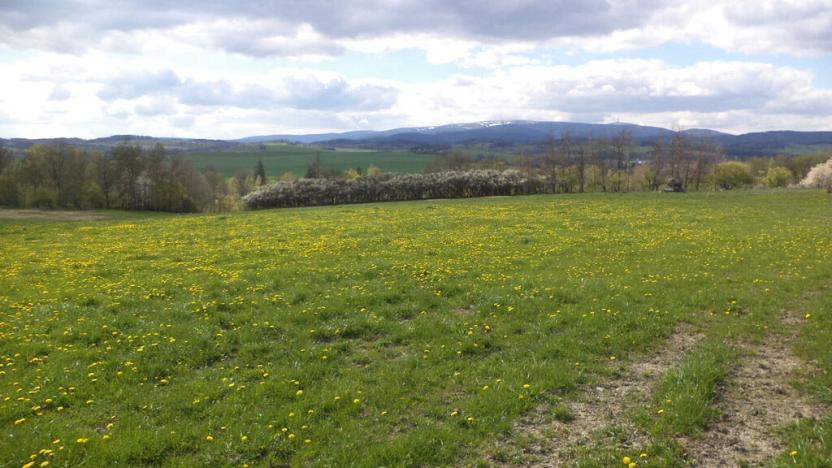 Prodej pozemku, Staré Město - Nová Véska, 10063 m2