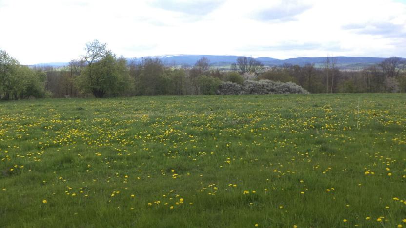 Prodej pozemku, Staré Město - Nová Véska, 10063 m2