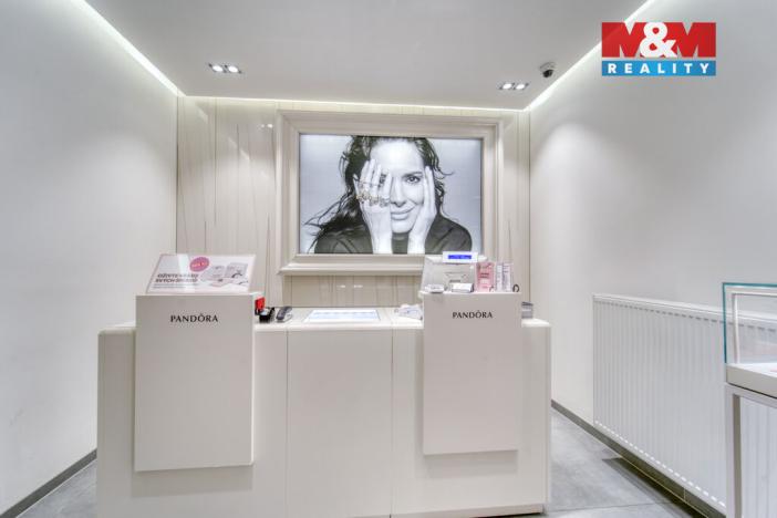 Pronájem obchodního prostoru, Plzeň - Vnitřní Město, Bedřicha Smetany, 116 m2