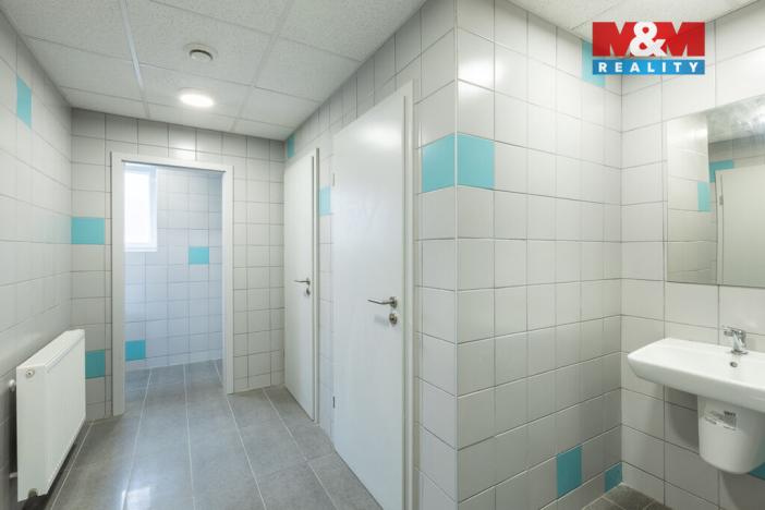 Pronájem kanceláře, Louny, Březinova, 210 m2