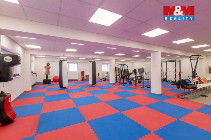 Pronájem kanceláře, Louny, Březinova, 210 m2