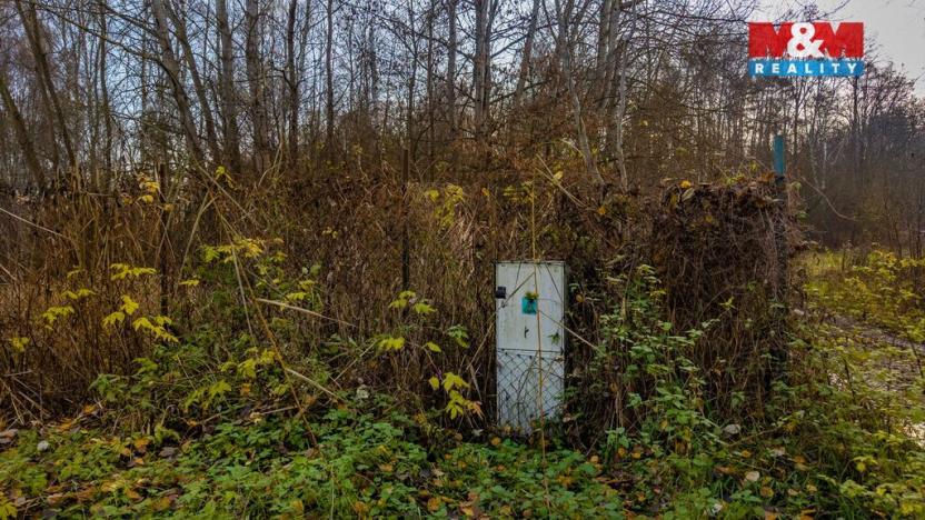 Prodej louky, Česká Lípa, 5589 m2