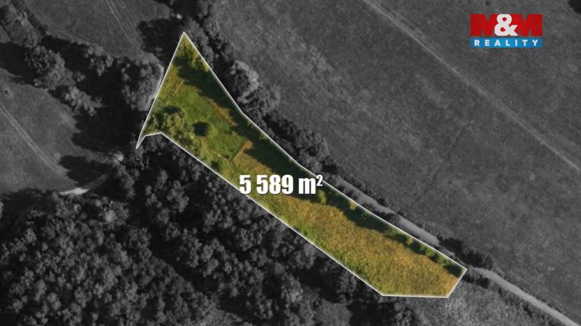 Prodej louky, Česká Lípa, 5589 m2