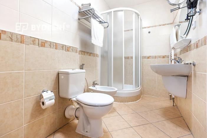 Prodej bytu 3+kk, Teplice, U Nových lázní, 91 m2