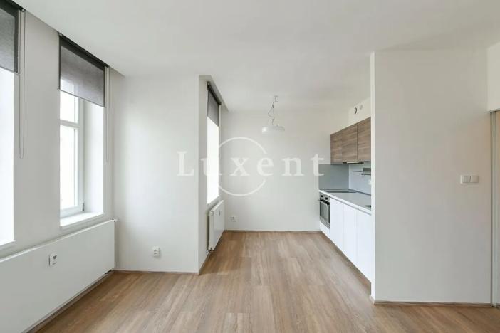 Pronájem bytu 1+kk, Praha - Vinohrady, Lucemburská, 30 m2