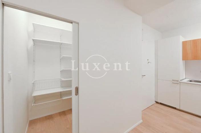 Pronájem bytu 2+kk, Praha - Vinohrady, Lucemburská, 50 m2