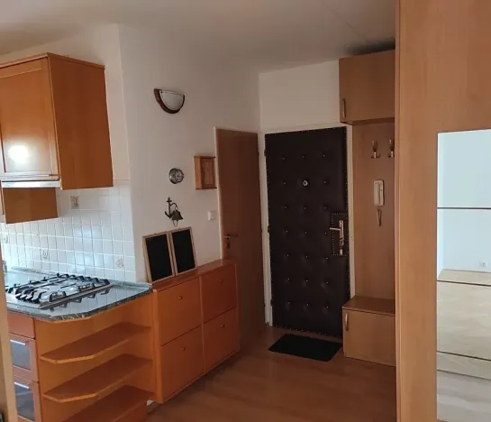 Pronájem bytu 3+1, Brno, Vondrákova, 73 m2