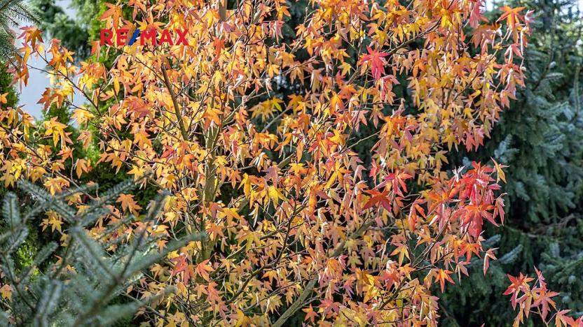 Prodej rodinného domu, Šimonovice, Vinohradní, 208 m2