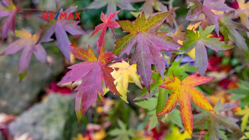 Prodej rodinného domu, Šimonovice, Vinohradní, 208 m2