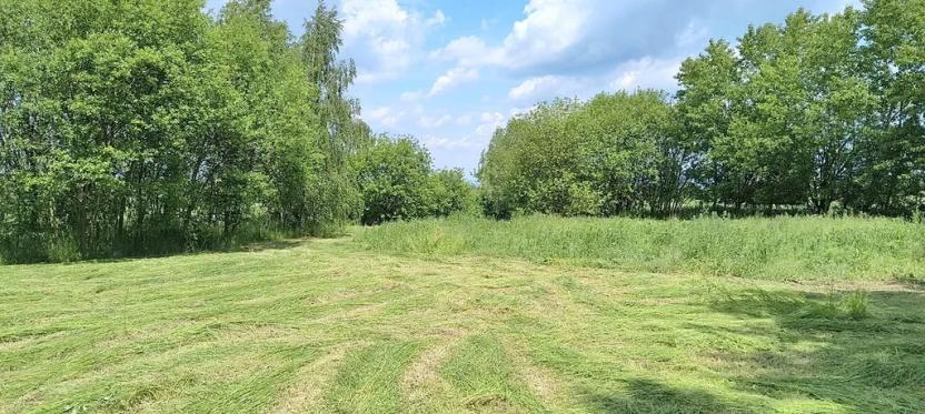 Prodej zahrady, Doubravčice, 7161 m2