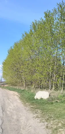 Prodej zahrady, Doubravčice, 7161 m2