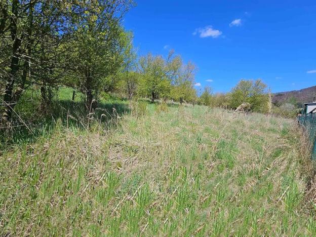 Prodej pozemku pro bydlení, Štěpánov nad Svratkou, 3802 m2