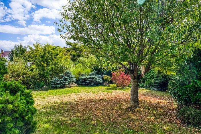 Prodej vícegeneračního domu, Havlíčkův Brod, Ječná, 239 m2