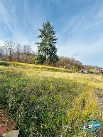 Prodej pozemku pro bydlení, Krnov, Petrův důl, 1311 m2