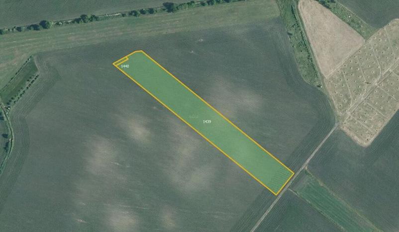 Prodej pole, Nesvačilka, 19558 m2