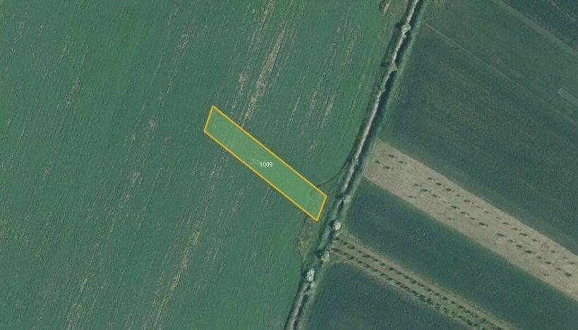 Prodej pole, Nesvačilka, 19558 m2