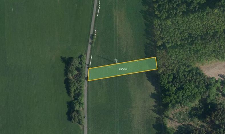 Prodej louky, Zaječice, 19893 m2