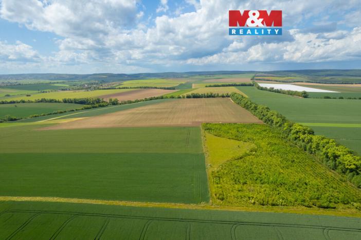 Prodej pole, Šumice, 37901 m2