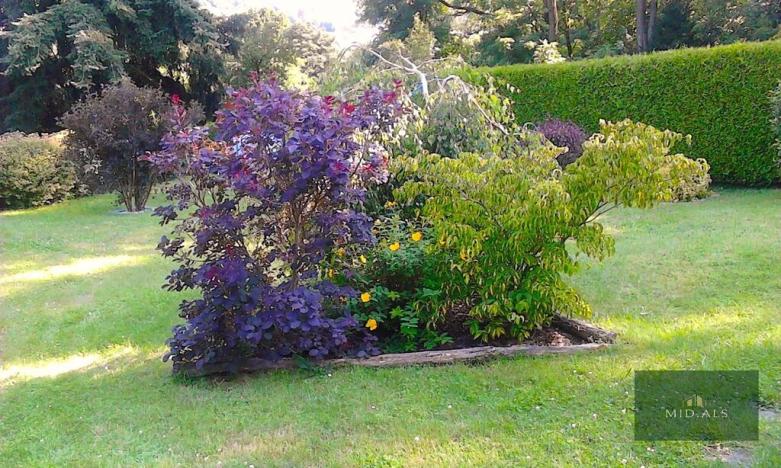 Prodej chaty, Kdyně, 22 m2