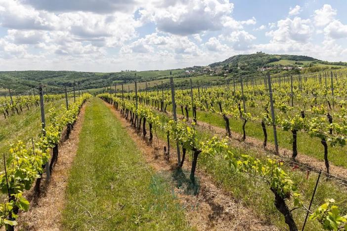 Prodej domu, Pavlov, Na Návsi, 200 m2