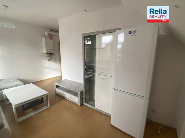 Pronájem bytu 1+1, Liberec, Havlíčkova, 45 m2