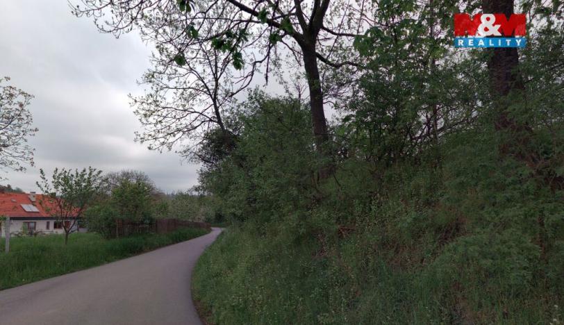 Prodej pozemku, Červená Lhota, 4173 m2