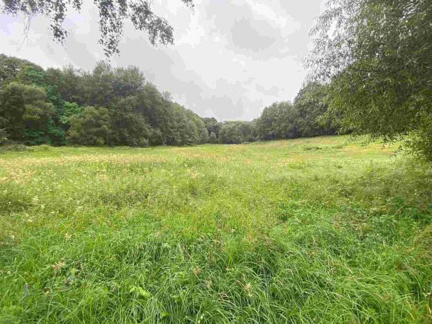 Prodej pole, Úterý - Vidžín, 11289 m2