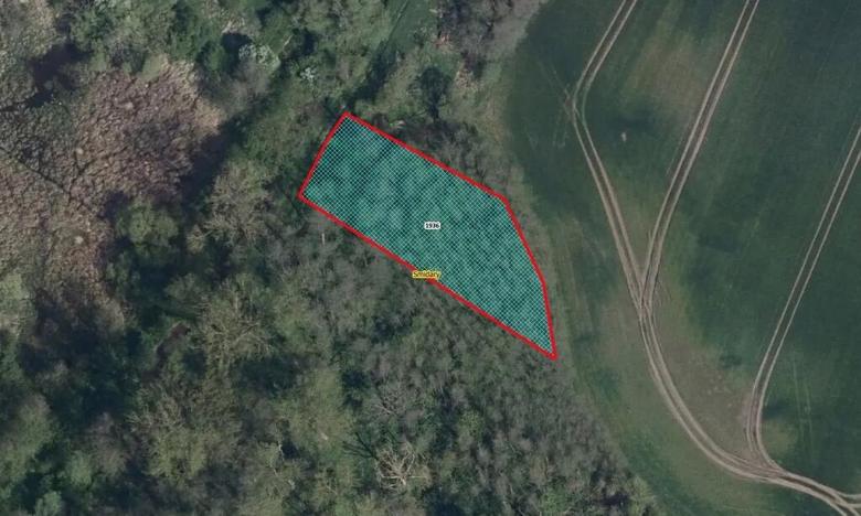 Prodej lesa, Smidary, 1435 m2