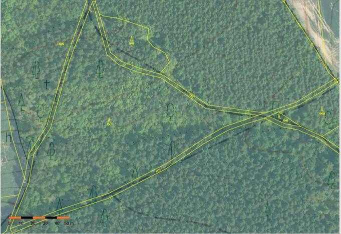 Prodej lesa, Probulov, 3017 m2