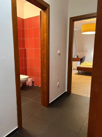 Pronájem pokoje, Kolín, Na Hradbách, 28 m2