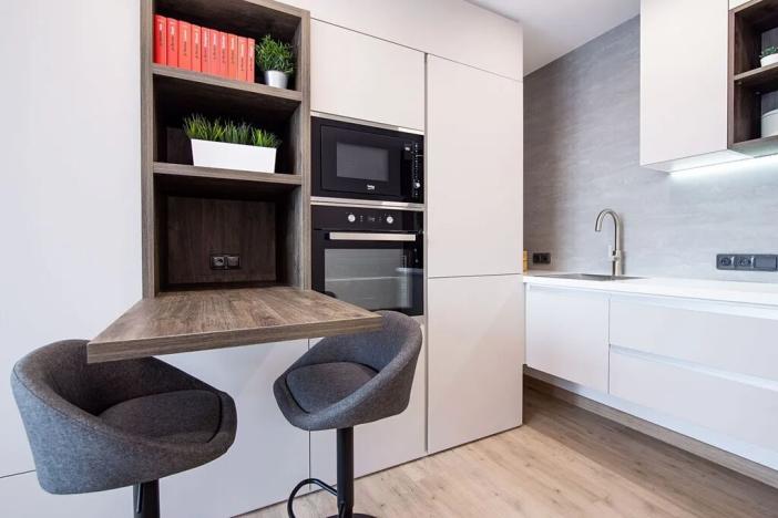 Pronájem bytu 1+kk, Ostrava, U Parku, 30 m2