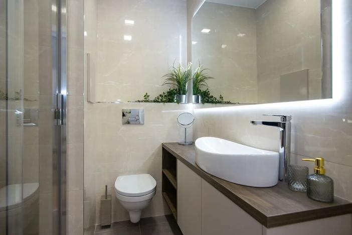 Pronájem bytu 1+kk, Ostrava, U Parku, 30 m2