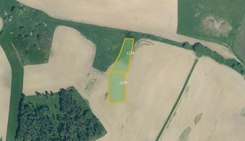 Prodej pole, Velký Bor, 11261 m2