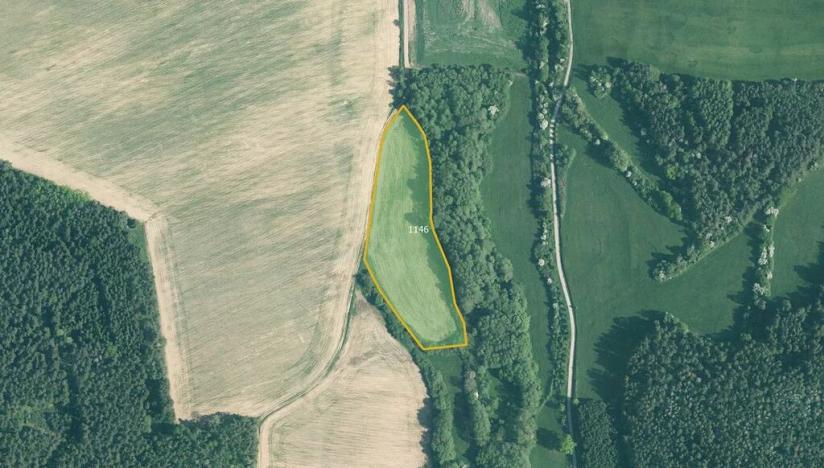 Prodej pole, Kuřimany, 7564 m2