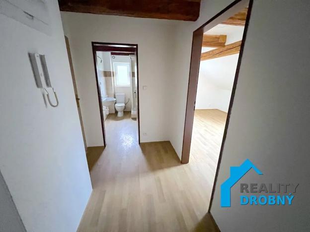 Pronájem bytu 1+1, Děčín, Saská, 28 m2